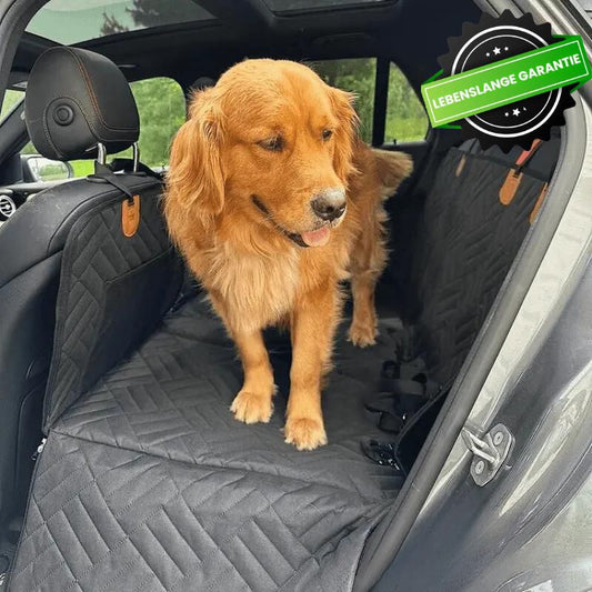AutoPawGuard™ 2.0 - Stabiler Autositzbezug für Hunde
